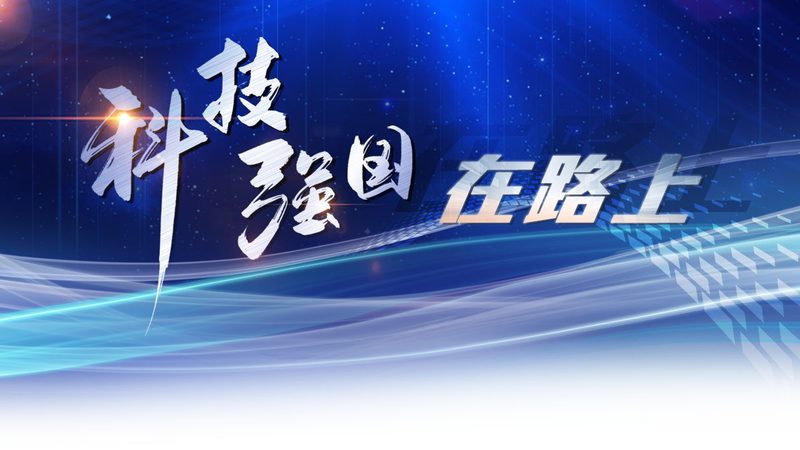 数字化教育解决方案：定制化之路的利与弊